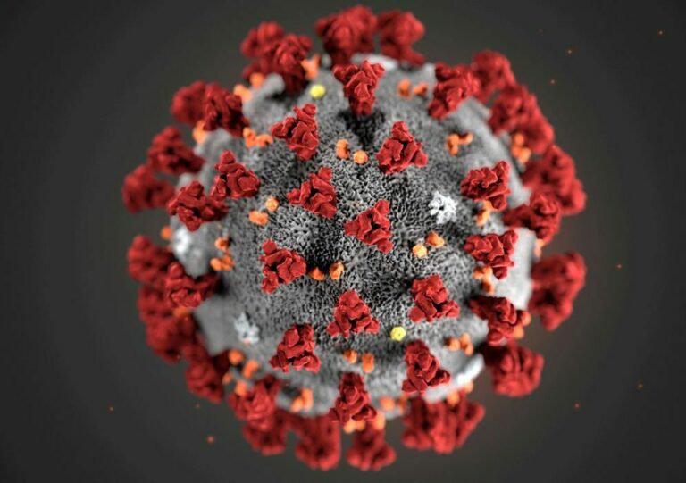 África do Sul detecta nova variante do coronavírus e estuda mutações