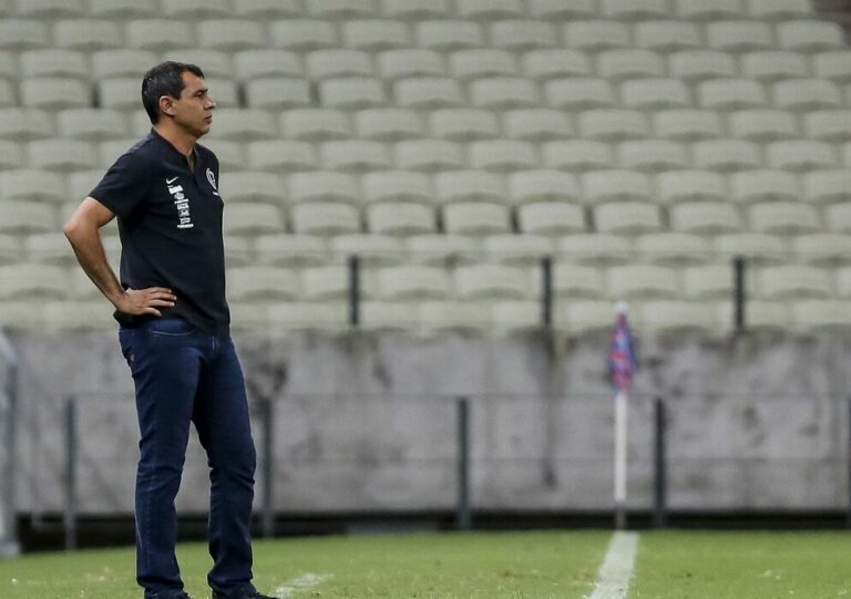 Santos anuncia Fábio Carille como novo técnico