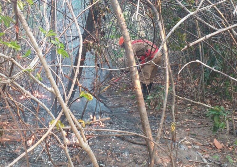 Chuva ajuda a apagar incêndios na Chapada dos Veadeiros