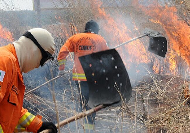 Parque do Tororó recebe ações de prevenção a incêndios florestais