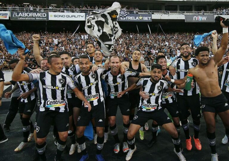 Botafogo bate Operário-PR e garante retorno à Série A do Brasileiro