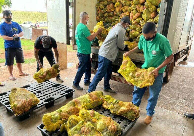 Mais de 12 mil cestas verdes são entregues ao Banco de Alimentos