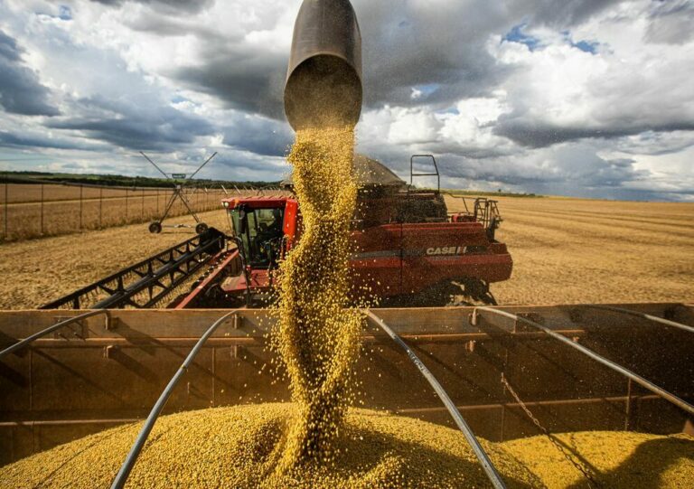 Comércio exterior do agronegócio tem saldo de US$ 9,3 bi em fevereiro