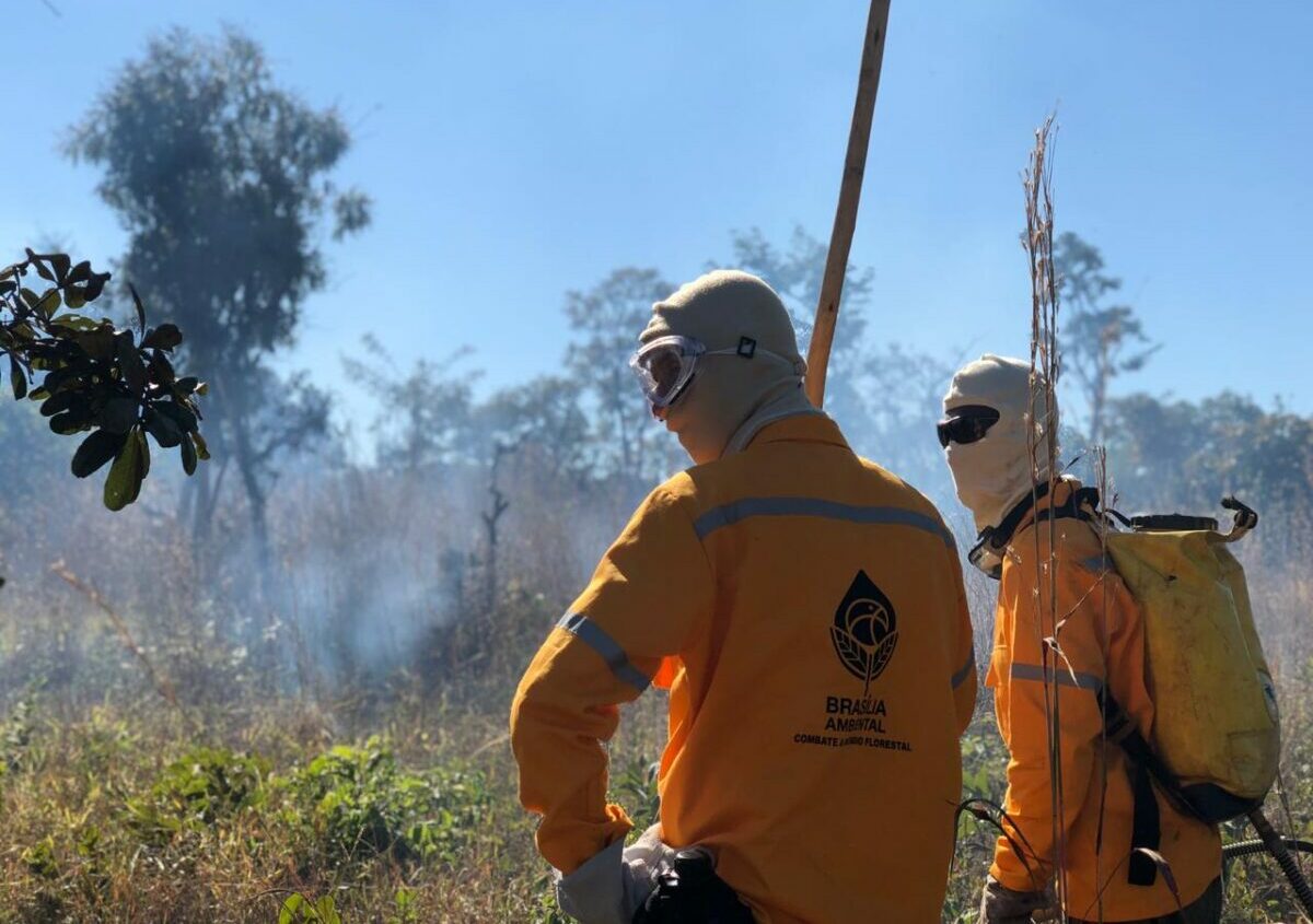 GDF vai contratar 150 brigadistas