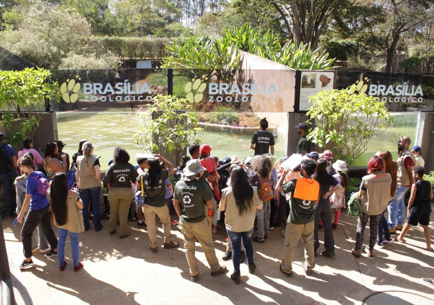 Zoológico de Brasília prorroga inscrições para voluntários