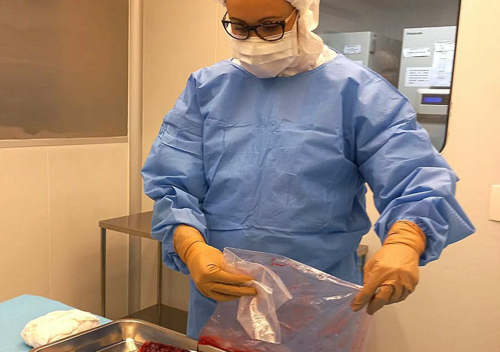 Pesquisa desenvolve curativos biológicos à base de placenta