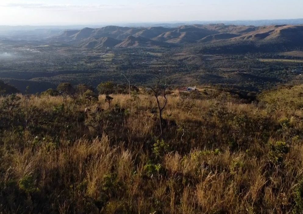 Preservação do Cerrado no DF é tema do Caminhos da Reportagem