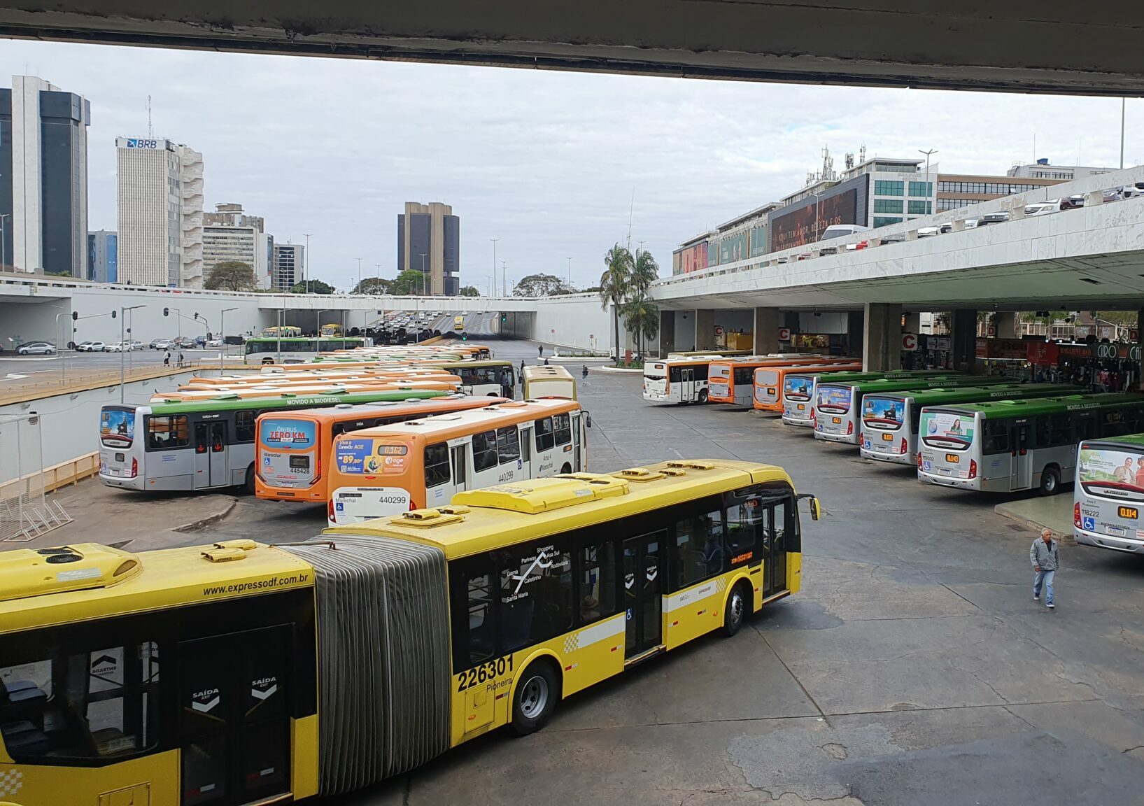 Ibaneis sanciona lei que garante gratuidade no transporte público para quem tem mais de 60 anos