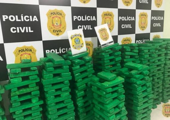 PCDF faz Operação que resulta na apreensão de 600 kg de maconha