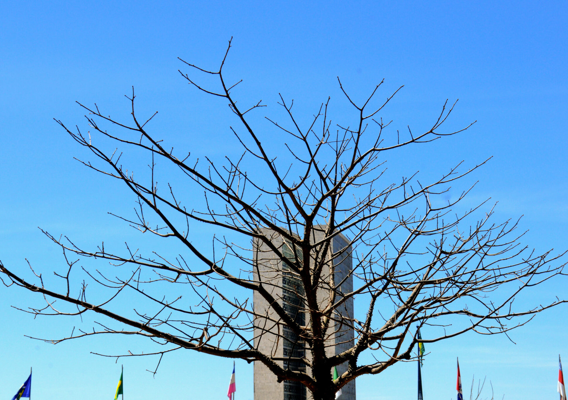 DF entra em alerta com onda de calor e população deve manter cuidados