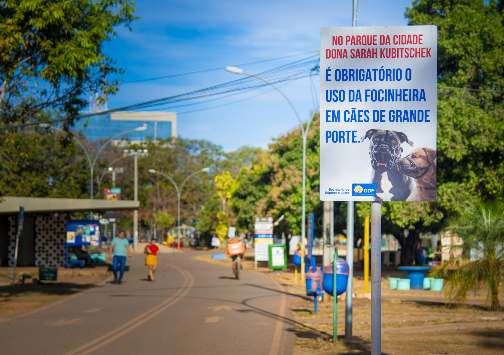 Pet no Parque da Cidade, agora, só com coleira