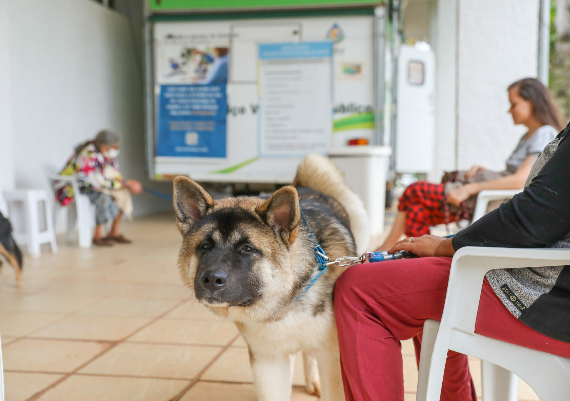 Começa nesta segunda (18) cadastro presencial para castração de cães