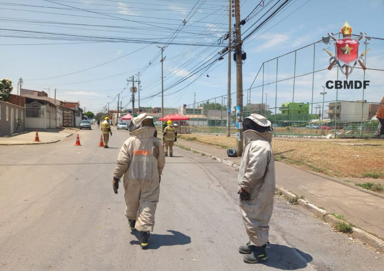 Quatro Pessoas foram atacadas por enxame de abelhas na Ceilândia