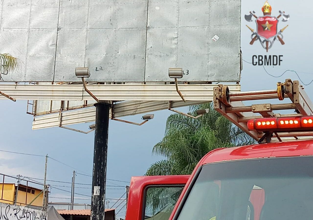 Abelhas atacam pessoas em frente a Feira dos importados no Sia