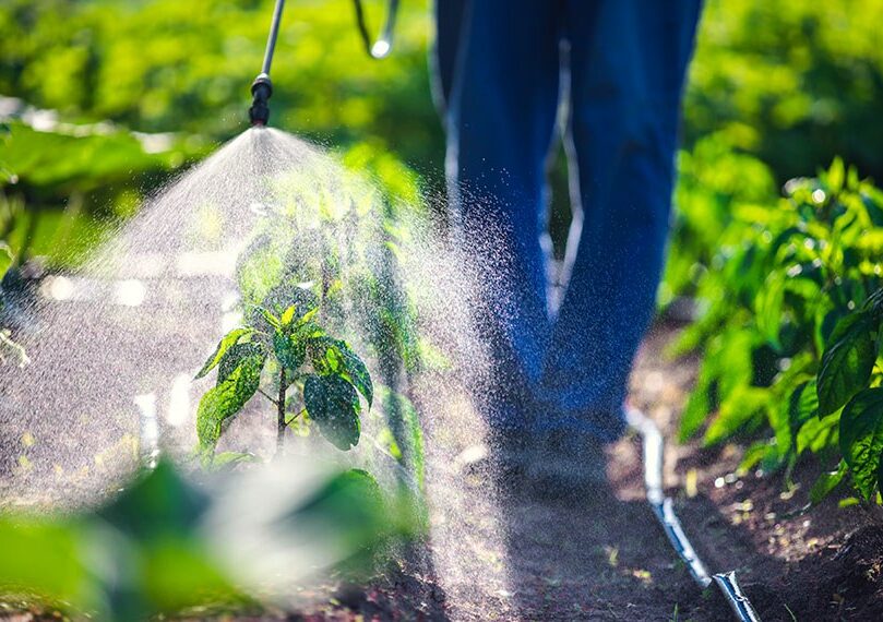 Sancionada nova Lei dos Agrotóxicos com vetos