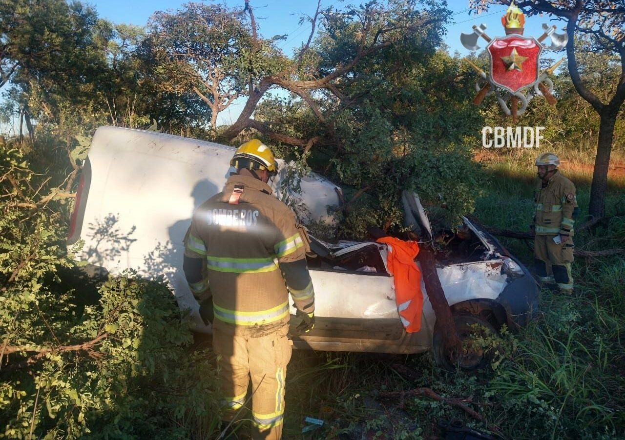 Motorista morre após acidente envolvendo animal na BR-251, Região de Santa Maria