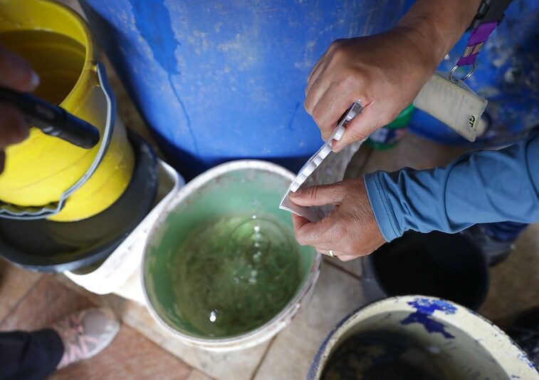 Especialista orienta sobre sintomas, tratamentos e prevenção da dengue