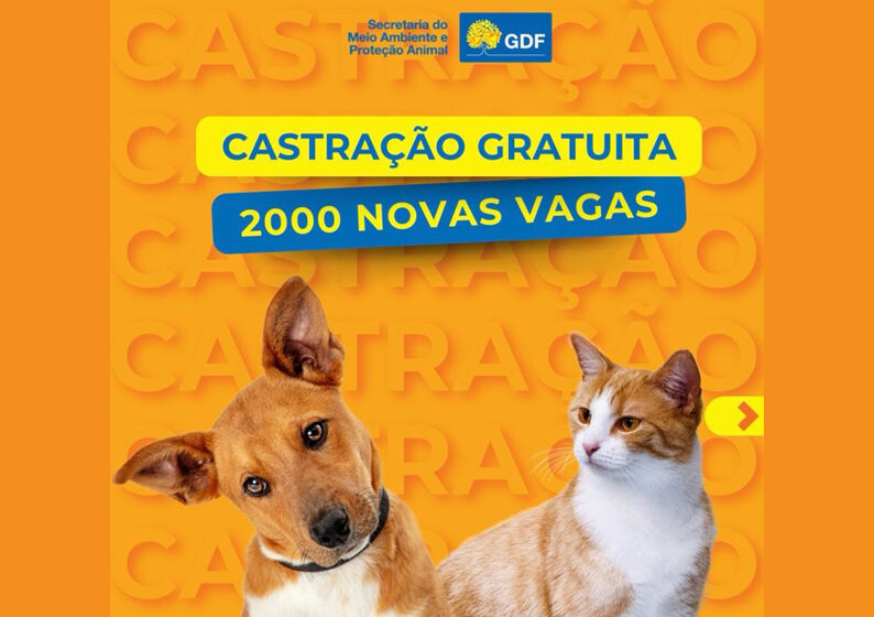 Campanha mensal de castração gratuita do GDF beneficiará 2 mil pets