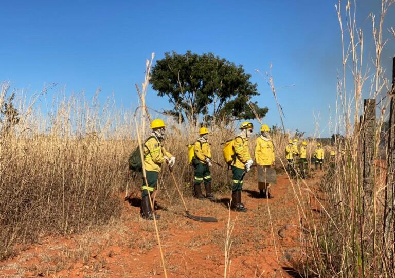 Processo seletivo para contratação de brigadistas florestais entra em nova etapa