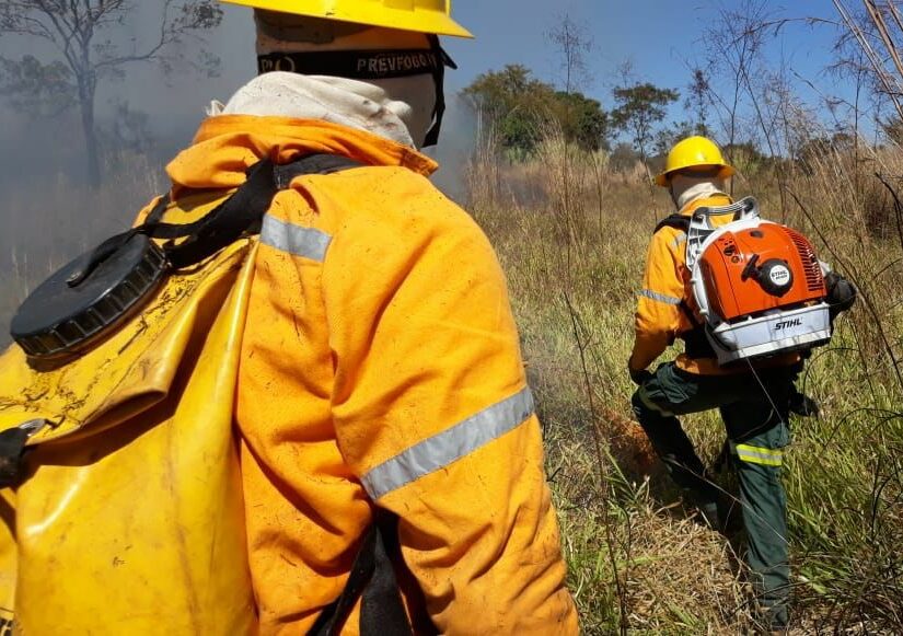 Divulgado resultado preliminar de etapa da seleção de brigadistas