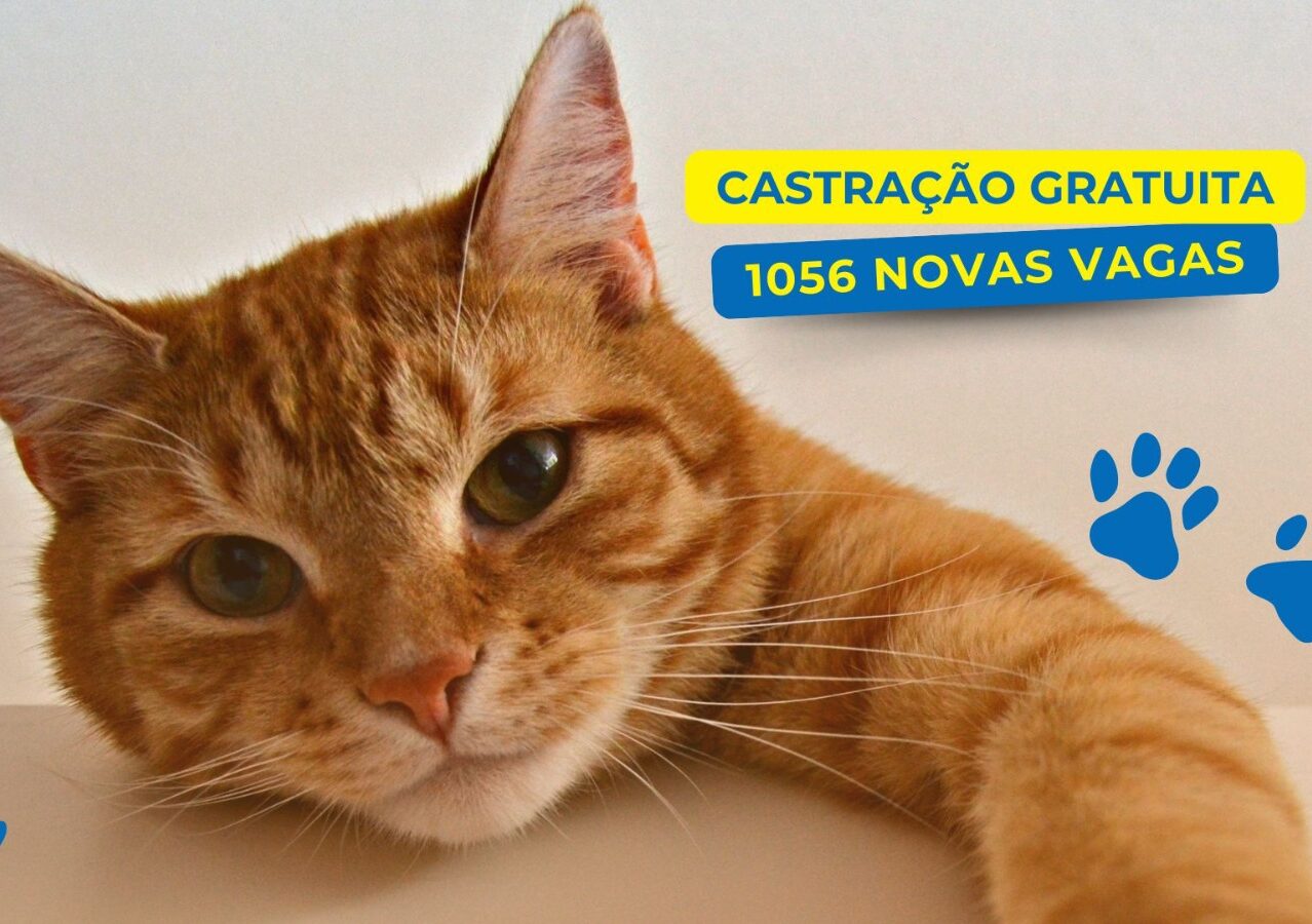 Com objetivo de controlar a população animal e promover saúde pública, Secretaria do Meio Ambiente e Proteção Animal abre agendamento para castração de cães e gatos