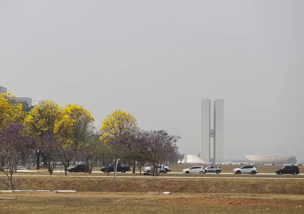 Alerta é do Instituto Brasília Ambiental