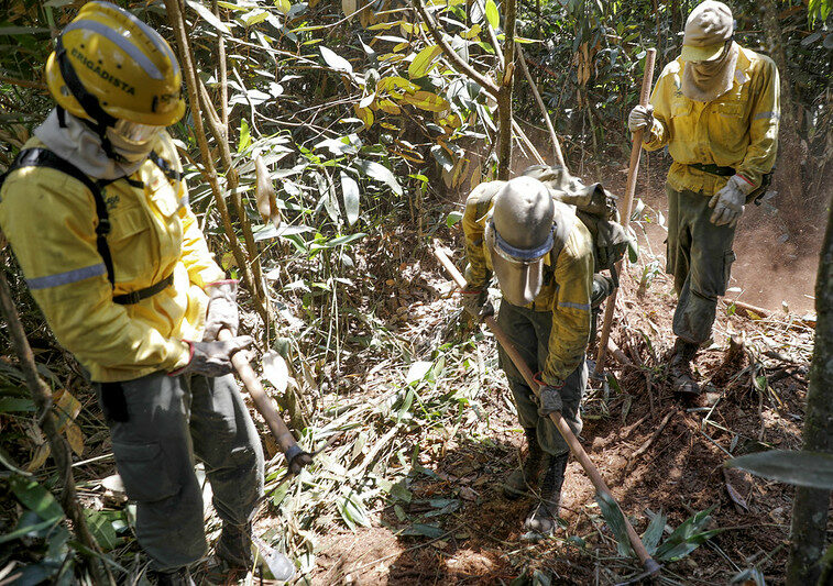 Segundo dados atualizados do ICMBio, total da área atingida chega a 1.473 hectares; 600 profissionais atuam no combate aos incêndios na região