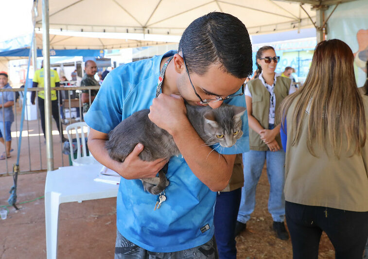 Aplicação dos imunizantes ocorrerá em outras duas datas; meta é imunizar 80% da população de animais contra a doença, representando um total de quase 300 mil cães e gatos