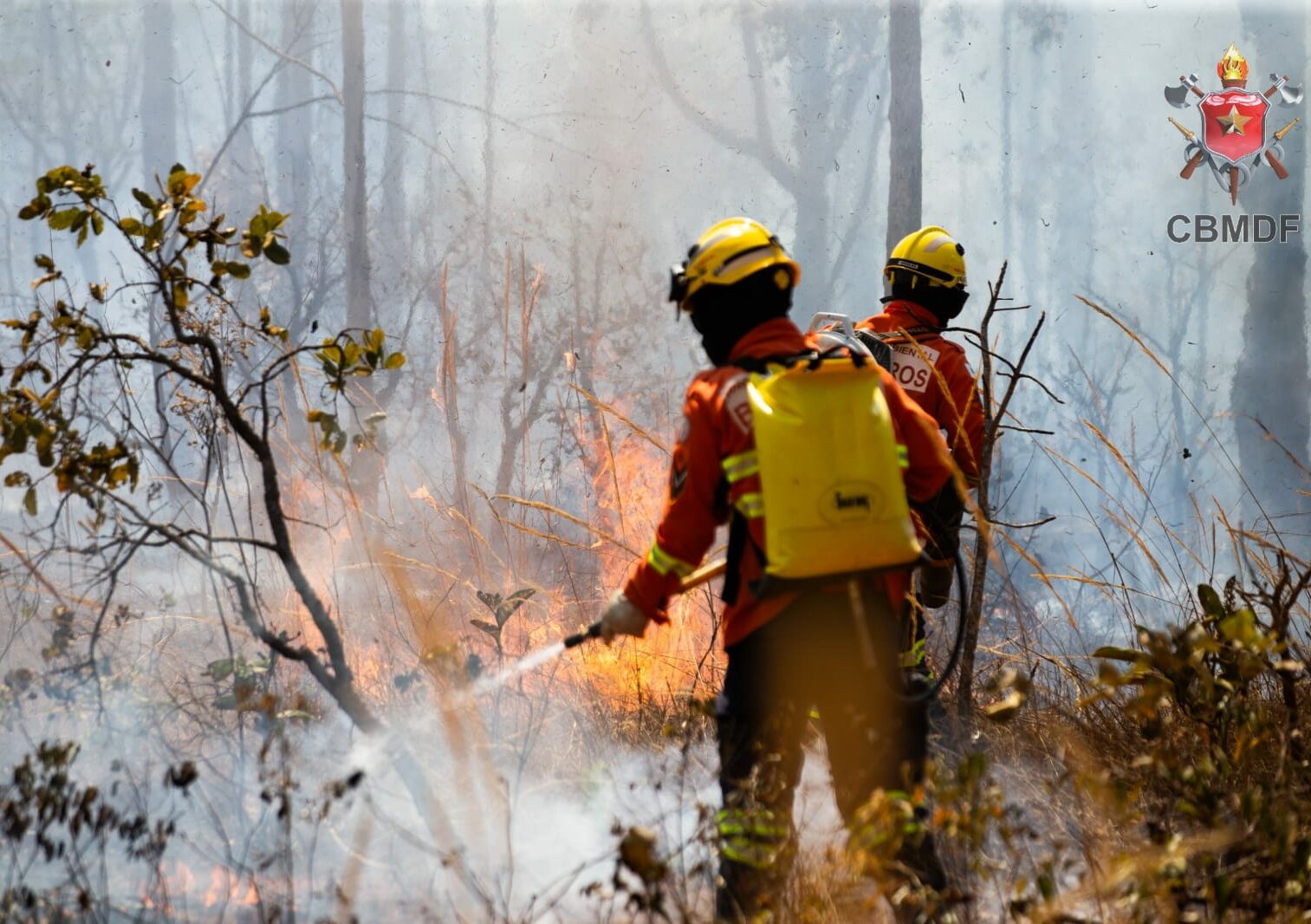 Segundo o Corpo de Bombeiros Militar do Distrito Federal (CBMDF), a alta temperatura, o clima seco e os fortes ventos dificultam o trabalho de combate ao fogo; das cinco linhas de fogo detectadas, três foram controladas nesta quarta-feira (4)