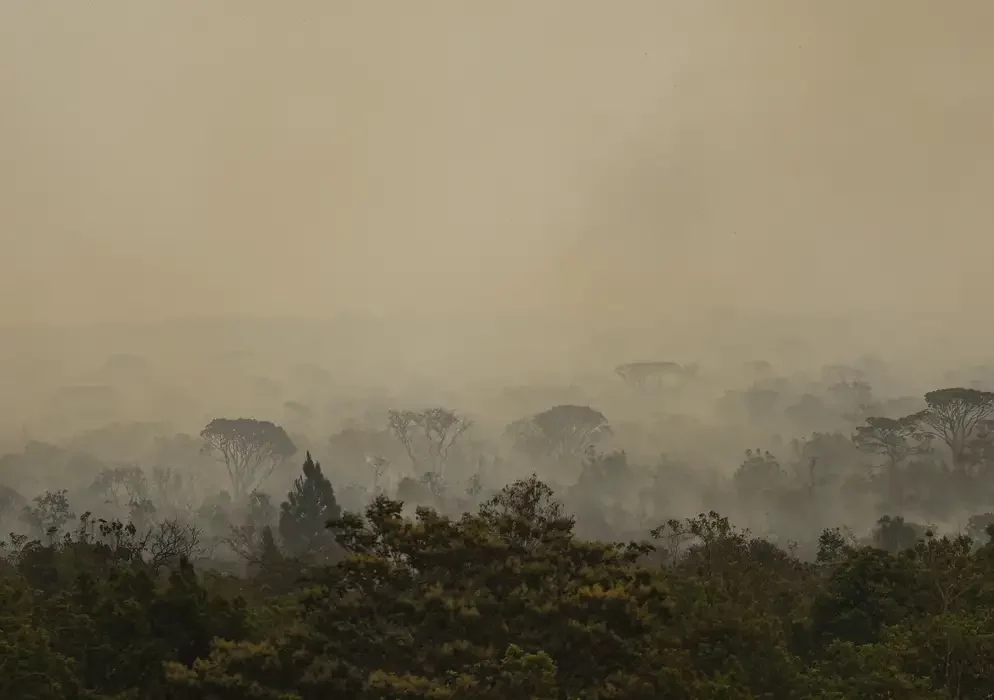 No período mais quente do dia, chamas podem voltar a se alastrar