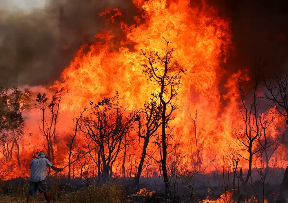 Sete viaturas e um avião dos bombeiros combatem chamas