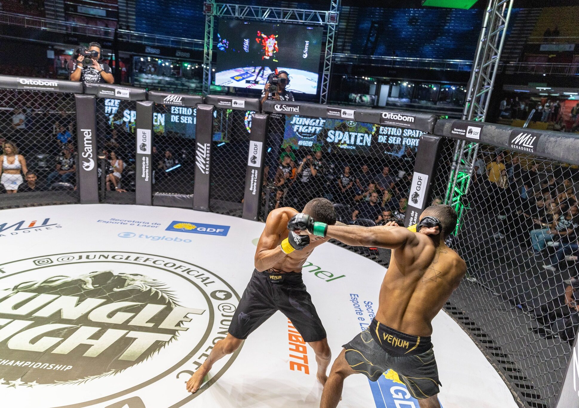 Edição especial terá quatro disputas de cinturão no maior evento de MMA da América Latina