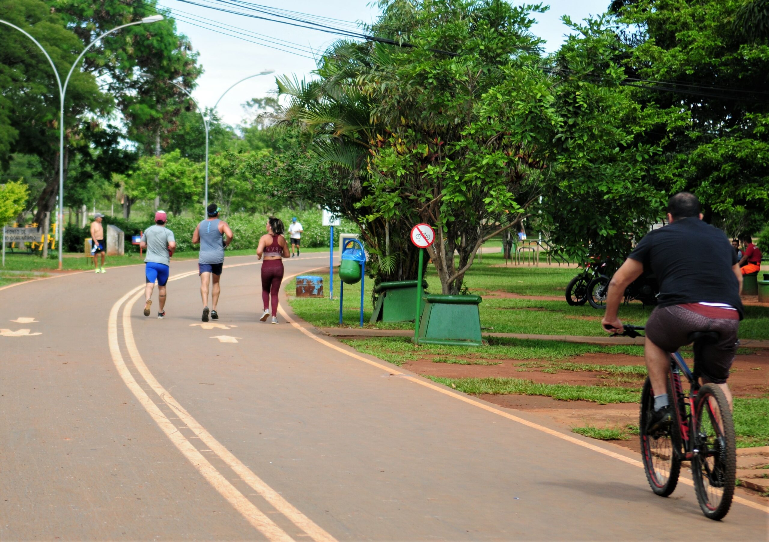 Com uma área de 420 hectares, a imensa área verde permeia o imaginário popular do brasiliense e recebe uma média de 790 mil pessoas por mês; espaço oferece atrativos para todas as idades, como quadras esportivas, ciclovias e locais para as famílias