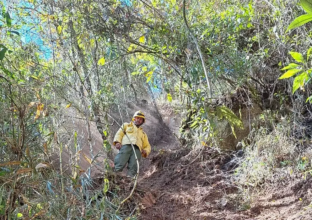 Incêndio atingiu o Parque Nacional do Itatiaia em meados de junho