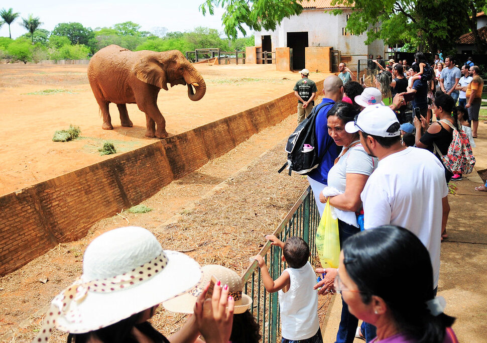 A programação especial do Dia Internacional da Mulher inclui visitas guiadas e um sorteio exclusivo