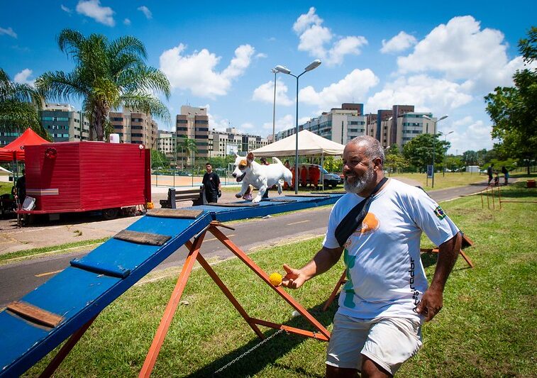 Evento gratuito e aberto para toda a família promete encantar o público com performances de cães treinados